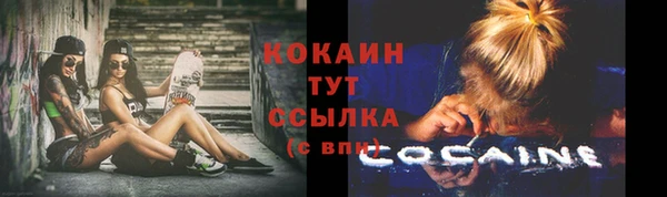 тгк Алзамай