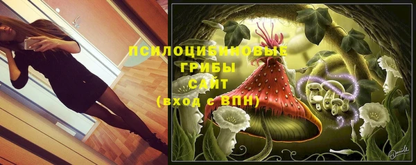 тгк Алзамай