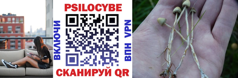 Псилоцибиновые грибы Psilocybe Лакинск